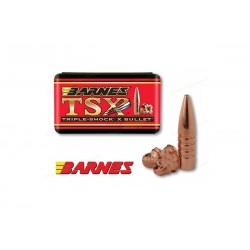 Caliber .25-100 TSX BT Barnes Bullets 50 Count