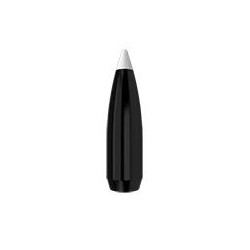 .30-150 SP Combined Tech Ballistic Silver Bullets