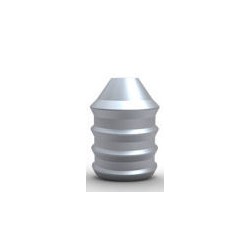 Molde R.E.A.L. Cal 50-250 gr.