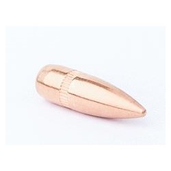 .22-55 Caliber FMJSBT Armored Bullets 250 pcs CamPro