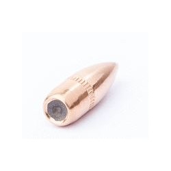 .22-55 Caliber FMJSBT Armored Bullets 250 pcs CamPro