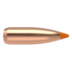 .22-55 Caliber Spitzer Nosler Ballistic Varmint Bullets