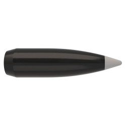 .30-150 SP Combined Tech Ballistic Silver Bullets