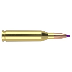 Cart. Nosler Cal. 243 Win - 90gr. 20 un. Ballistic Tip