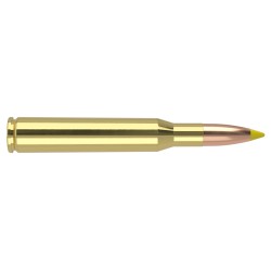 Nosler .270 Win 140 gr Ballistic Tip  Deer Hunting with Controlled Penetration