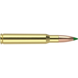Cart. Nosler Cal. 30-06 - 180gr. 20 un. Ballistic Tip
