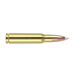 Cart. Nosler Cal. 308 Win - 165gr. 20 un. Accubond Trophy Grade