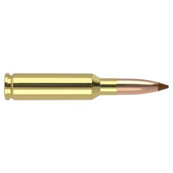 6.5 Creedmoor  140 gr Ballistic Tip Hunting Ammunition
