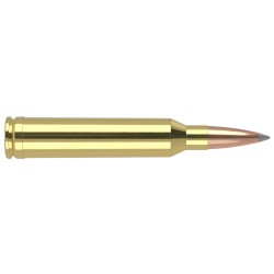 7MM Rem .Mag. 168gr AccuBond Long Range Trophy Grade Ammunition
