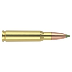 Cart. Nosler Cal. 308 Win - 168gr Expansion Tip