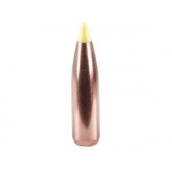 270 Caliber 150-Grain Spitzer Nosler Ballistic Tip Bullets