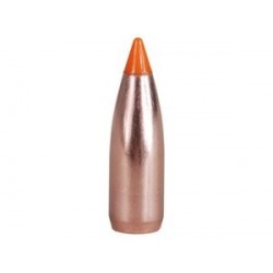 .22-55 Caliber Spitzer Nosler Ballistic Varmint Bullets