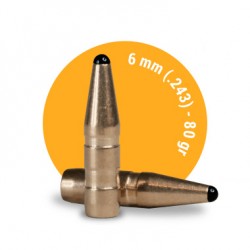 .243 Caliber 80 Grain Classic Hunter FOX Bullets 10 Pack