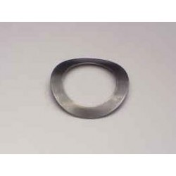 Wave Washer .010