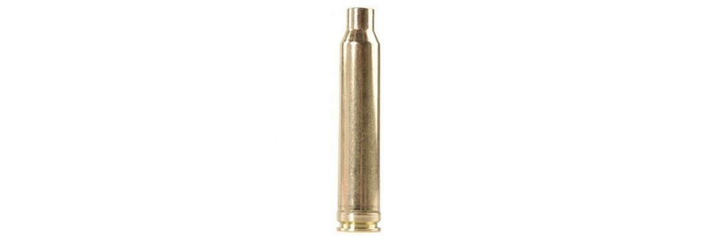 Vainas Cal. 300 Winchester Mag.