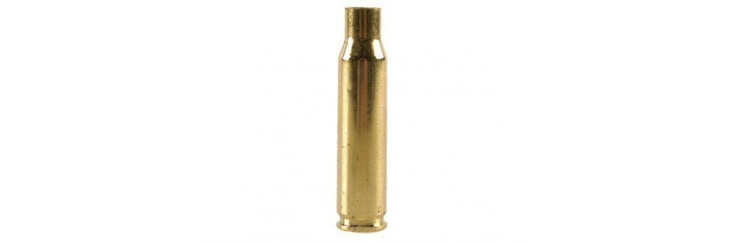 Vainas Cal. 308 Winchester