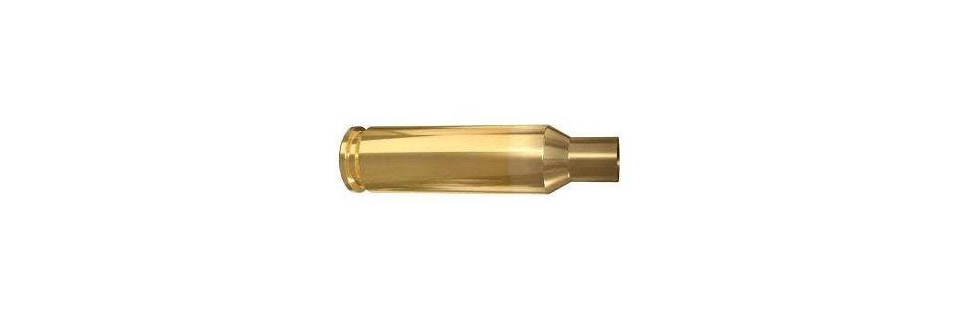Vainas Cal. 6.5X47