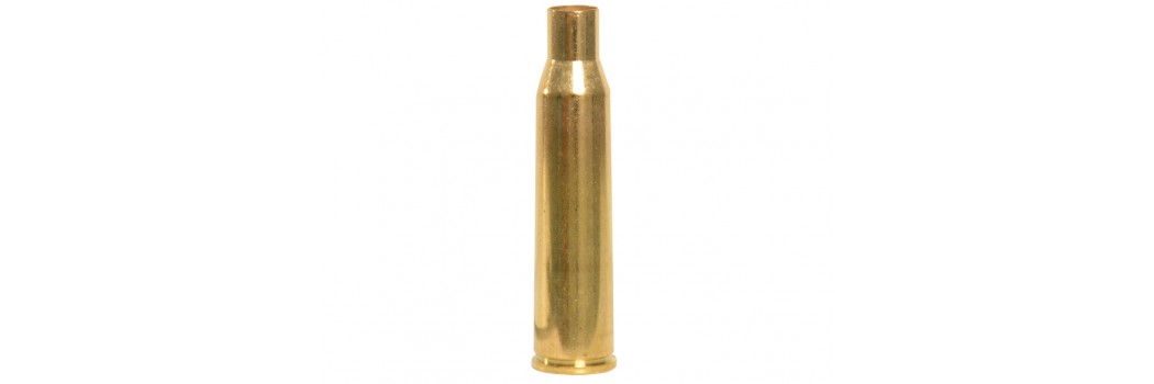 Vainas Cal. 307 Winchester