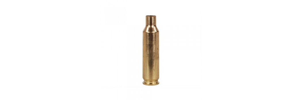 Vainas Cal. 224 WBY Mag.