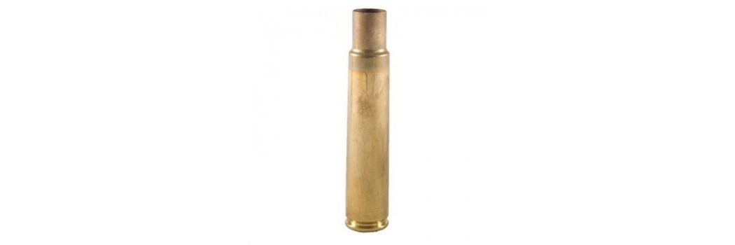 Vainas Cal. 416 Rigby