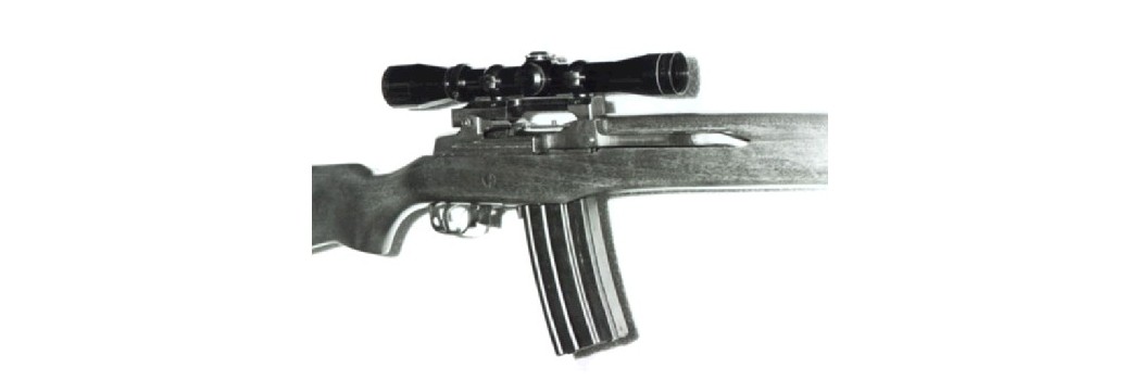 Ruger Mini 14