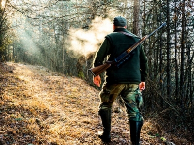 Productos indispensables para la limpieza y el mantenimiento de armas